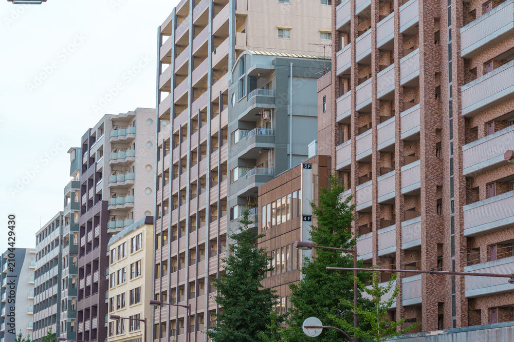 Naklejka premium 立ち並ぶ都会の分譲マンションと街路樹。不動産売買や新生活の背景