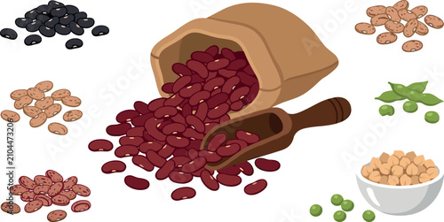 Photos Legumes and beans vector set featuring red kidney beans in sack black beans pint