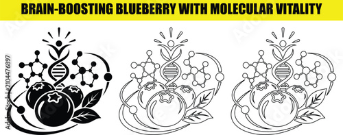 Konstfotografi Brain boosting blueberry with molecular vitality emblem including dna strands and chemical structures