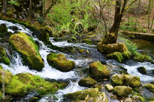 a fast, clean mountain river