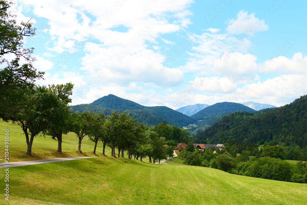 Fototapeta premium Wanderwege in Scheuchenstein, Niederösterreich