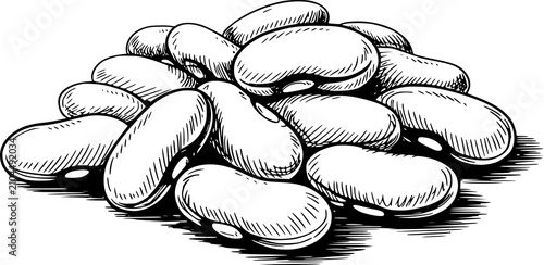 Cuadro en lienzo Un dibujo a mano detallado en blanco y negro de una pequeña pila de frijoles roj