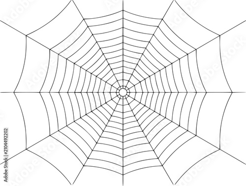 Quadro su tela Una telaraña simétrica con finas líneas negras sobre un fondo blanco para decora