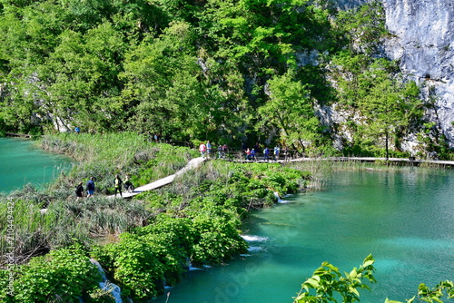 Lake in the forest