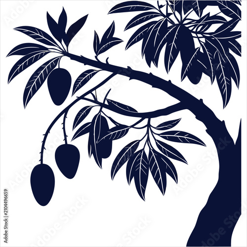 silhouette Mango on white background