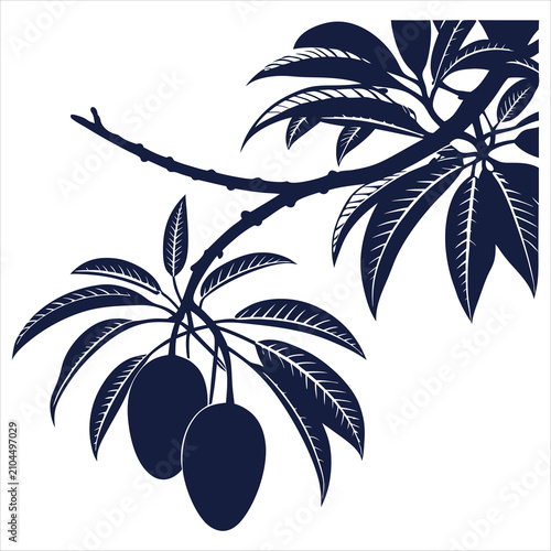 silhouette Mango on white background