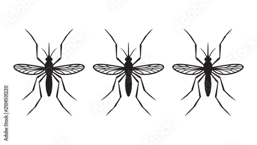 Fotografie Three Mosquito Silhouettes Vector Illustration
