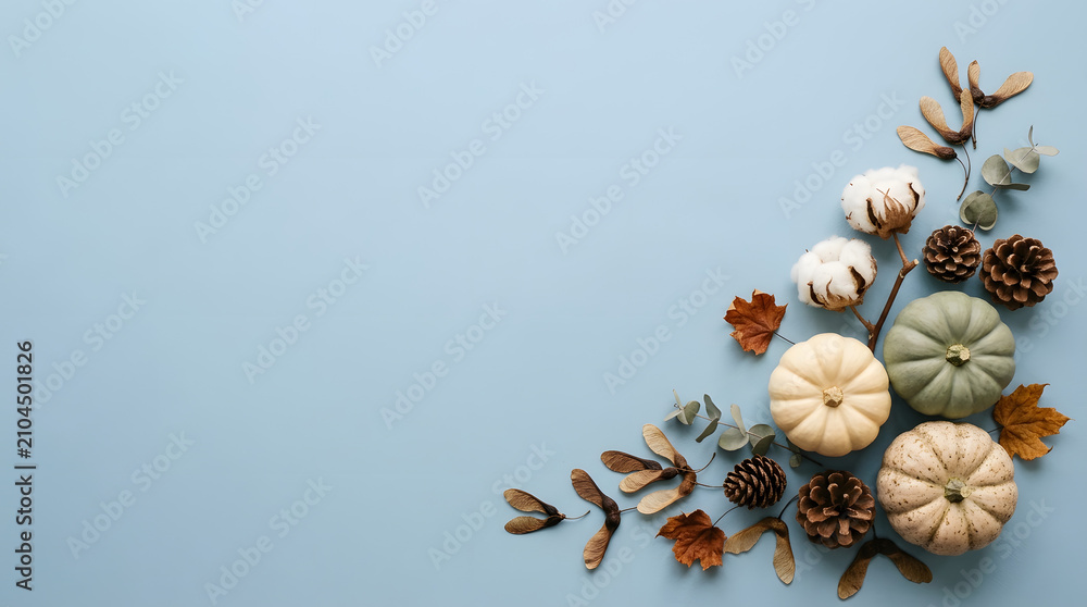 Obraz premium Festive thanksgiving background with pumpkins cotton and pinecones on light blue surface
