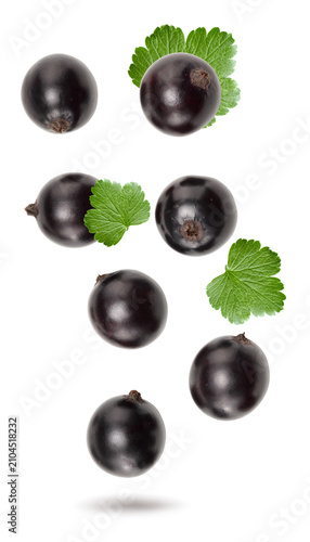 black currant isolated on white background. macro. clipping path