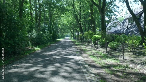 Sunlit walking path leading through a lush green forest