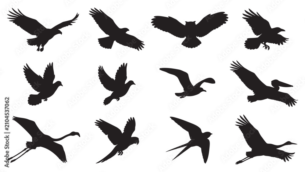 Fototapeta premium Birds in Flight Silhouettes Vector Icon Set Bundle