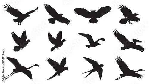 Birds in Flight Silhouettes Vector Icon Set Bundle
