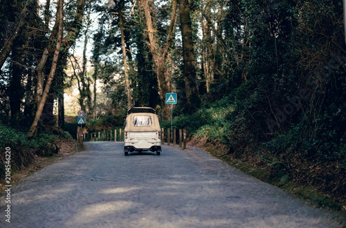 Konstfotografi A vintage car navigates a winding road, framed by towering trees in Sintra's serene landscape