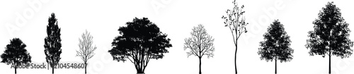 Fotografie Collection of black silhouettes of various trees with different foliage and bran