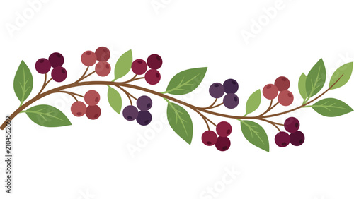 Photos Autumn berry branch illustration