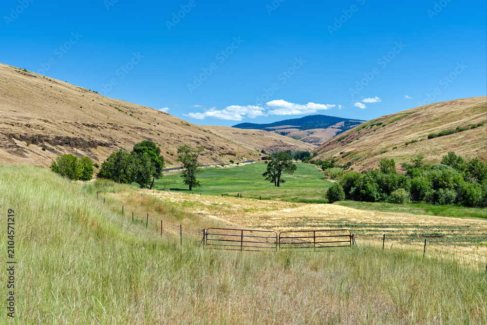 Obraz premium A green meadow bounded by a fence lies in a valley in northeastern Oregon, United States