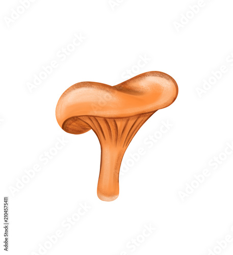 Foto mushroom isolated on white background