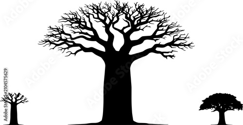 Silhouette of a majestic baobab tree on a transparent background - pure form and natural grace. Ideal for t-shirts, posters and microstock. Suitable for nature and eco-style.