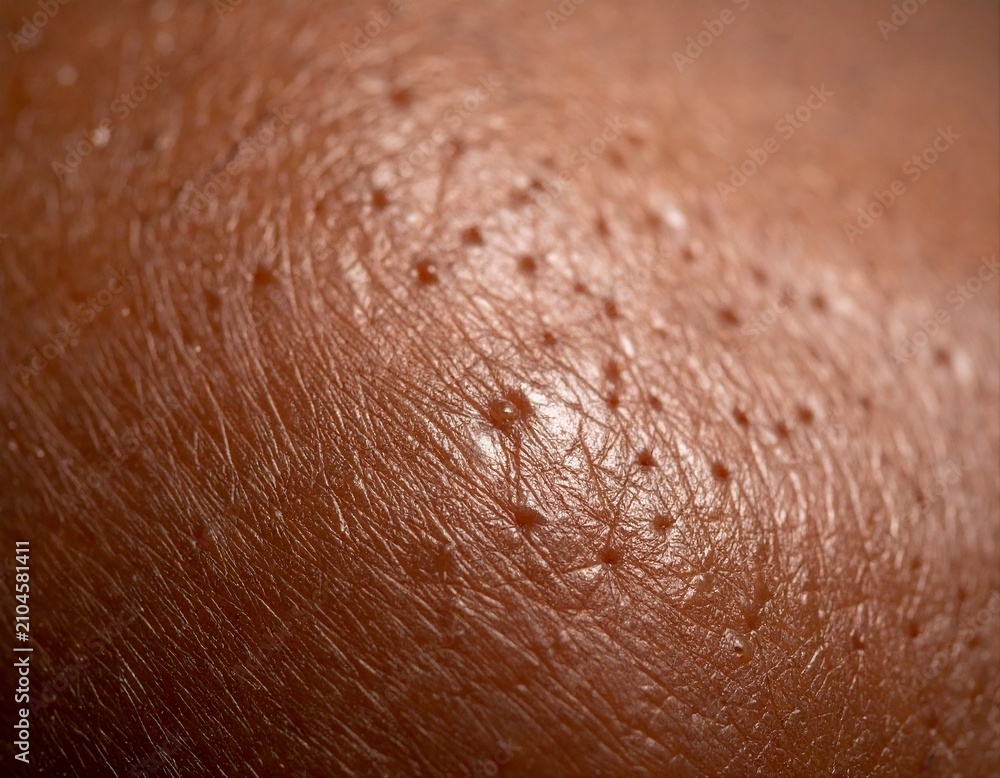 Fototapeta premium Macro human skin texture showing pores hair follicles and bumps