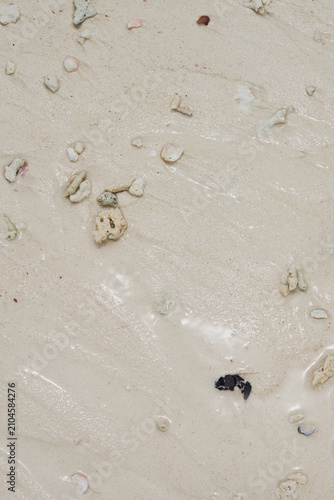 Fotografie Wet White Coral Sand Texture with Shell Fragments and Natural Tropical Beach Bac