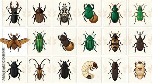 Bild auf Leinwand Flat Vector Stag Beetle, Dung Beetle, and Jewel Bug Vintage Card Collection