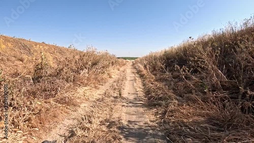 Via de la Plata, dirt road between Santiponce and Guillena, province of Seville, Andalusia, Spain