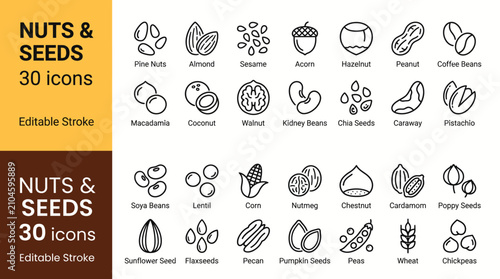 Fotografía Nuts & Seeds Icons Editable Stroke Collection