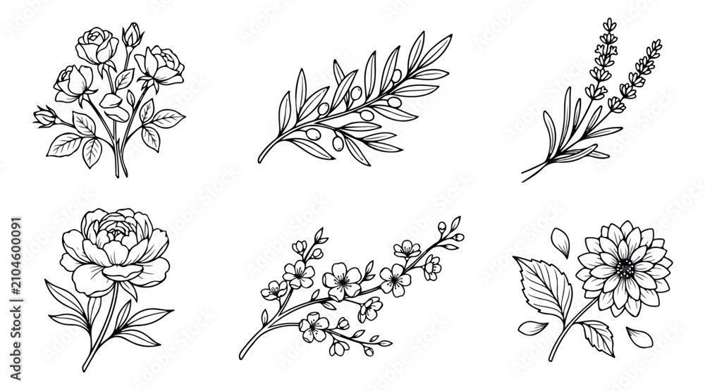 Fototapeta premium Minimalist botanical line art collection, hand drawn floral sketches with roses and lavender, set of 6 black and white flower vector illustrations