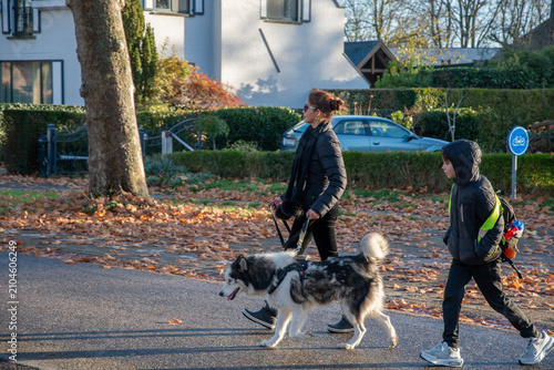 Family enjoying time together outdoors, a woman and her son walking a husky dog on a street covered with fallen autumn leaves, showing a routine activity
