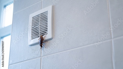 Large cockroach crawling out of a bathroom ventilation grate on a tiled wall