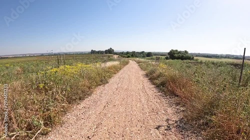 Via de la Plata, dirt road between Santiponce and Guillena, province of Seville, Andalusia, Spain
