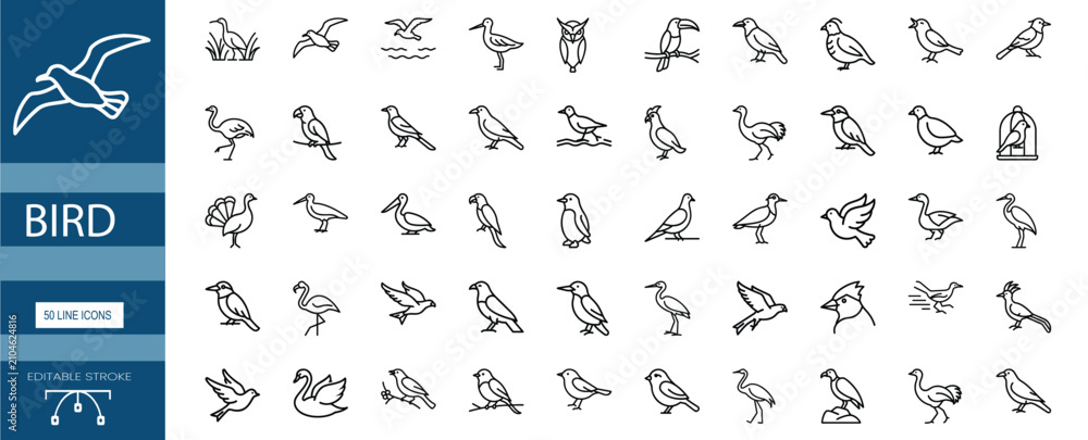 Obraz premium Bird line icons set with eagle, parrot, penguin, sparrow, pigeon, swan, goose, crane, flamingo, pelican, turkey, owl, toucan & more vector illustration with editable stroke.