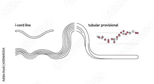 Fotografie Technical knitting diagram for i-cord and tubular provisional techniques