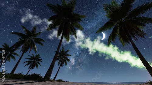 A bright green meteor streaks across the starry night sky above palm trees