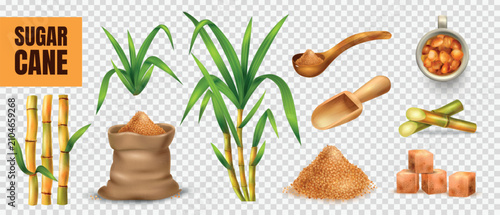 Foto Sugar Cane Transparent Set