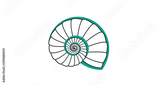 фотографія Spiral nautilus shell with teal outlines.
