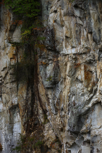 Close-up of Geological Rock Texture with Fall Foliage in Nikko National Park
