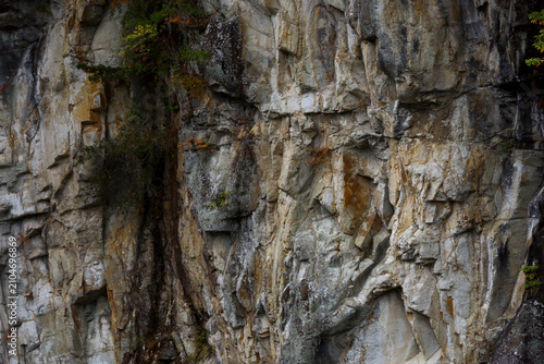 Close-up of Geological Rock Texture with Fall Foliage in Nikko National Park