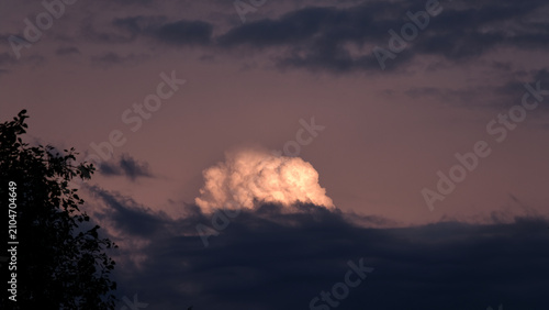 A giant white-pink cloud, illuminated by the setting sun, against the background of the darkening evening sky and the silhouettes of trees.