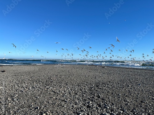 Hokitika Beach and Sea New Zealand