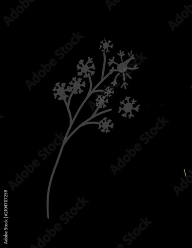 Abstract Gray Snowflake Branch on Black Background