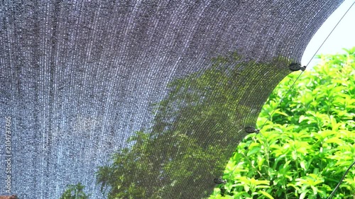Black Sunshade Net Swaying in the Wind Above a Backyard