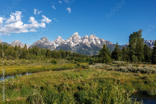 Grand Teton National Park -Schwabacher Landing Wyoming. Snow-capped mountain peaks rise against a blue sky overlooking the Snake River. 
Pine tree forest with lush green grassy meadow below. 