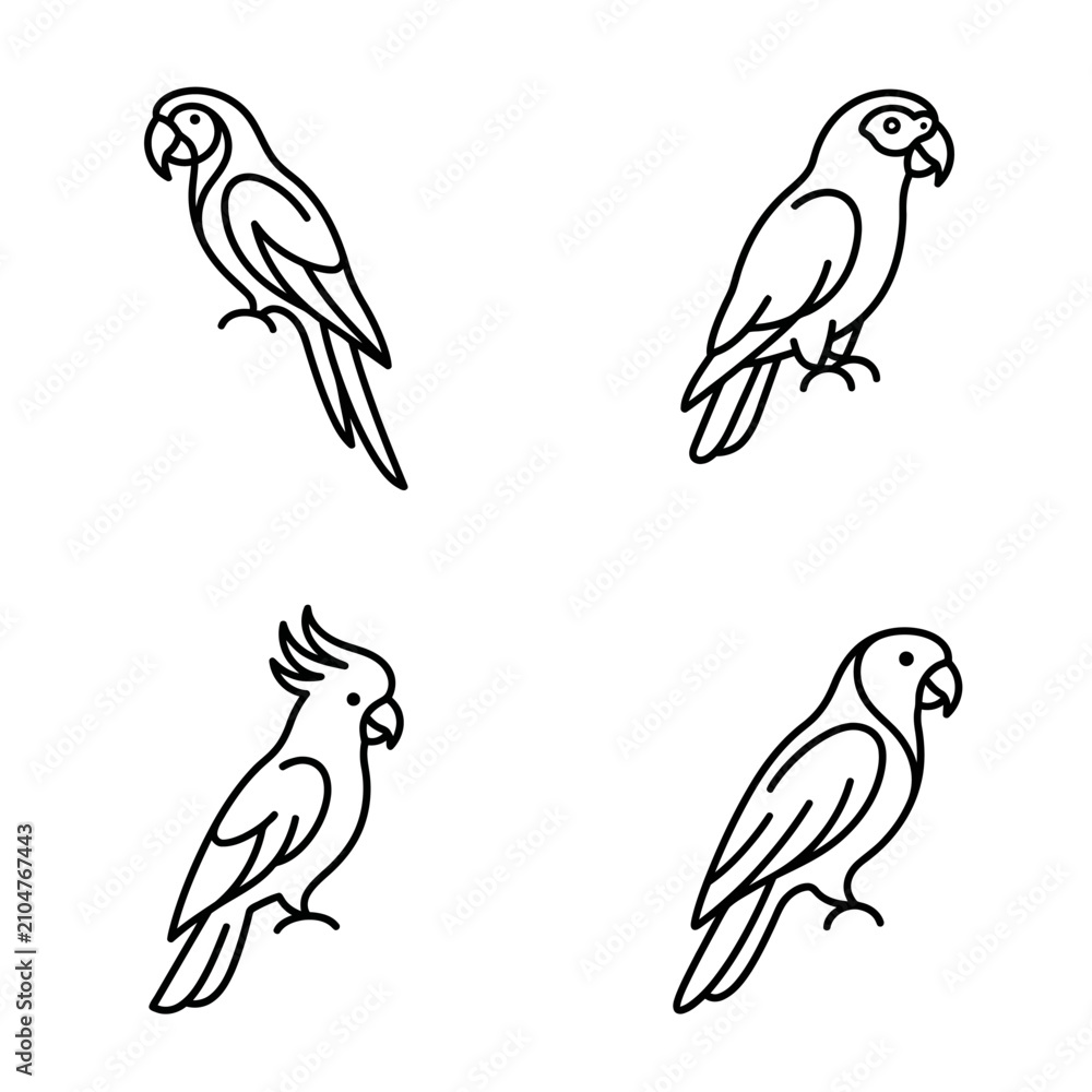 Fototapeta premium Four Different Parrot Line Drawings Shown.