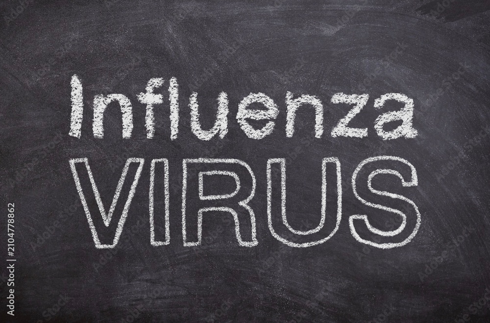 Fototapeta premium Dangerous influenza virus Concept, Hand-Drawn Chalk Illustration on Blackboard, Minimal Digital Chalkboard Sketch, Medical Microbiology Concept Visualization