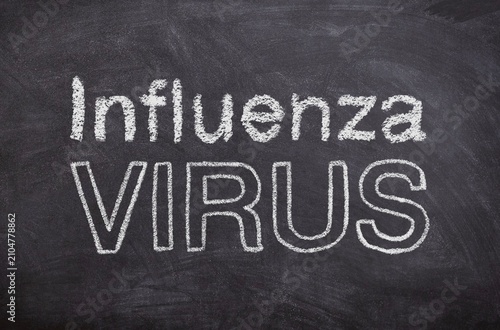 Dangerous influenza virus Concept, Hand-Drawn Chalk Illustration on Blackboard, Minimal Digital Chalkboard Sketch, Medical Microbiology Concept Visualization
