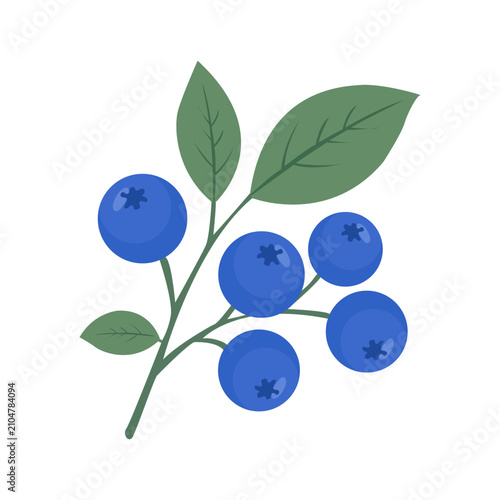 Blueberry Branch Flat Vector Illustration Isolated on White Background