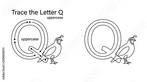 Educational worksheet for children to practice tracing the uppercase letter Q with a quail illustration.