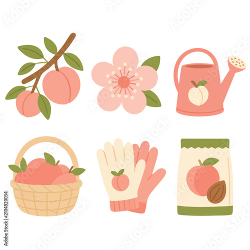 Peach Garden and Harvest Vector Icon Illustration Collection