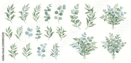 Watercolor floral illustration set - green leaf Frame collection, for wedding stationary, greetings, wallpapers, fashion, background. Eucalyptus, olive, green leaves, etc. High quality illustration